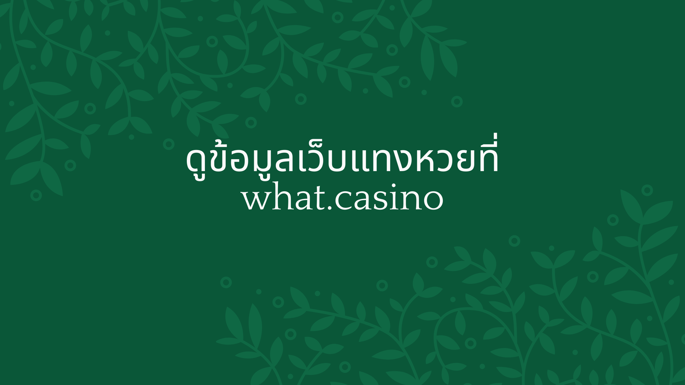 ดูข้อมูลเว็บแทงหวยที่ what.casino